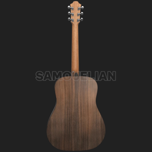 FURCH BLUE D-SW a Acoustic Guitar - Image 2